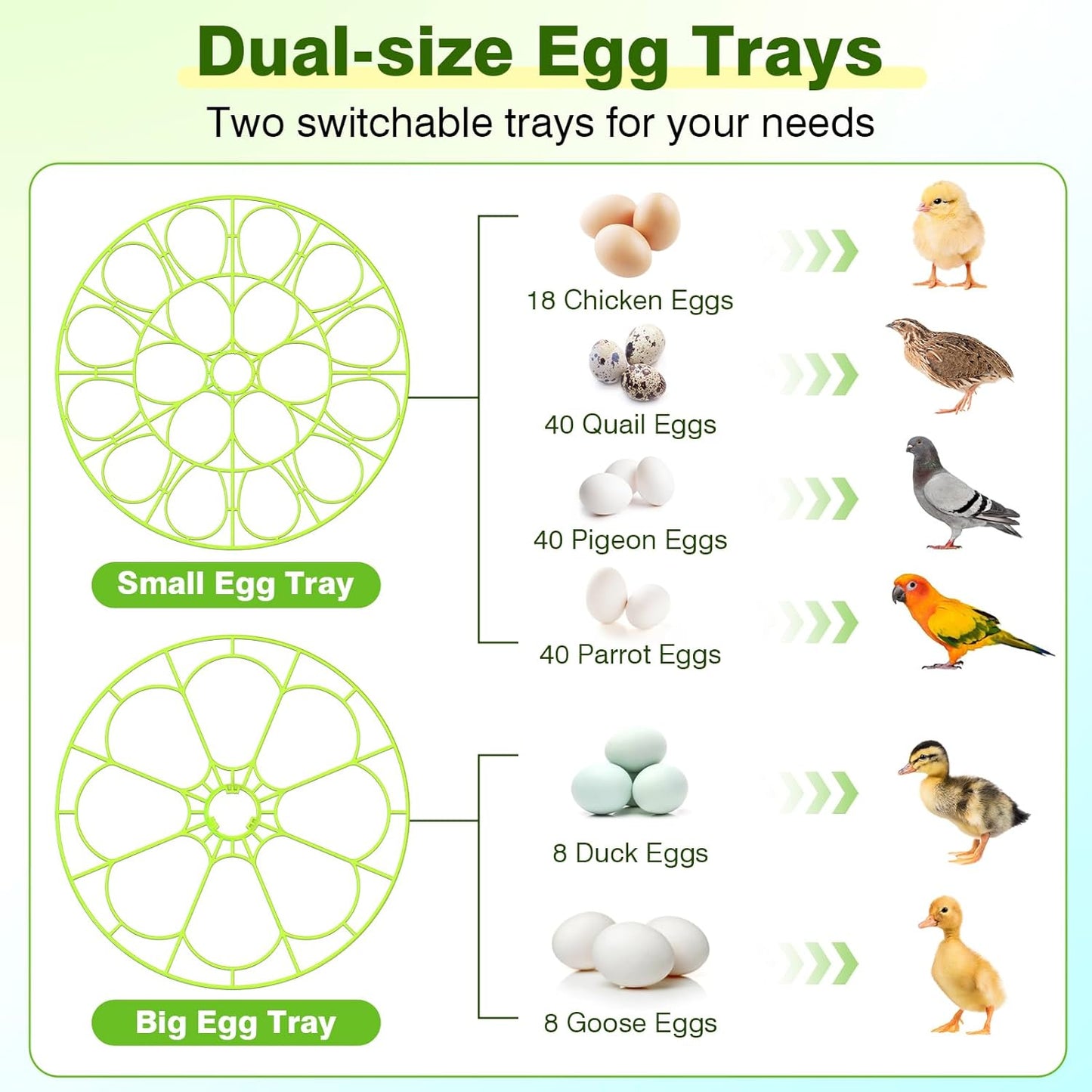 ๐ฃ 18 Egg Incubators for Hatching Eggs โ Digital Incubator with Temperature Control & Auto Egg Turner