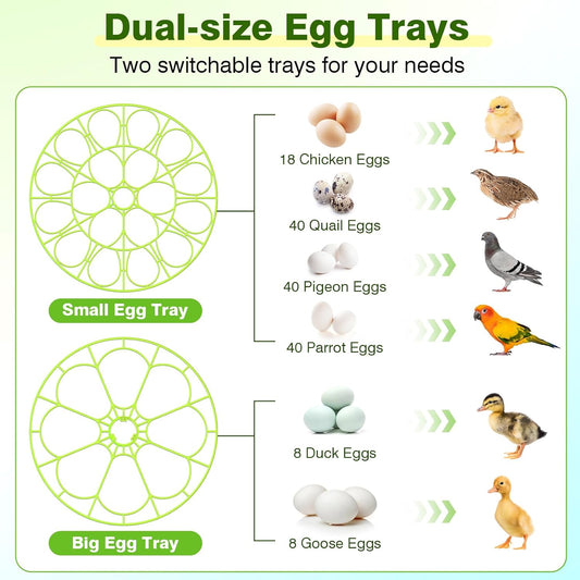 🐣 18 Egg Incubators for Hatching Eggs – Digital Incubator with Temperature Control & Auto Egg Turner