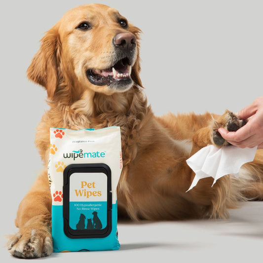 Pet Grooming Wipes – Gentle, All-in-One Cleansing