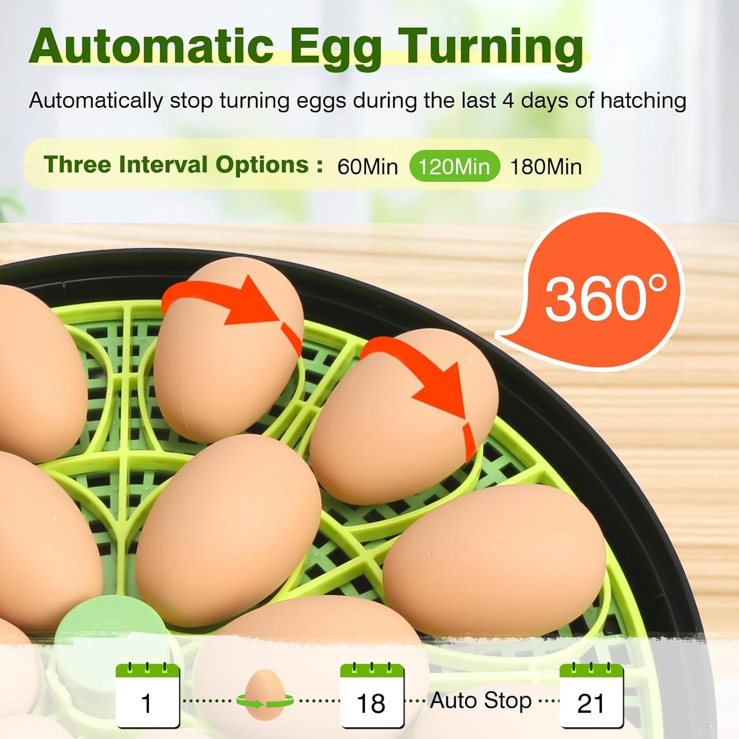 🐣 18 Egg Incubators for Hatching Eggs – Digital Incubator with Temperature Control & Auto Egg Turner